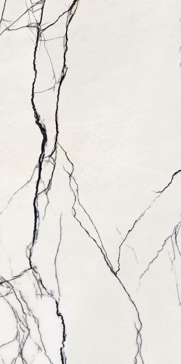 B&W Breach High-Glossy 24 x 48